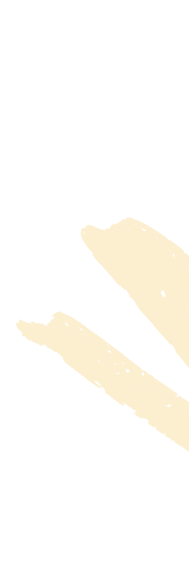 Placement Background